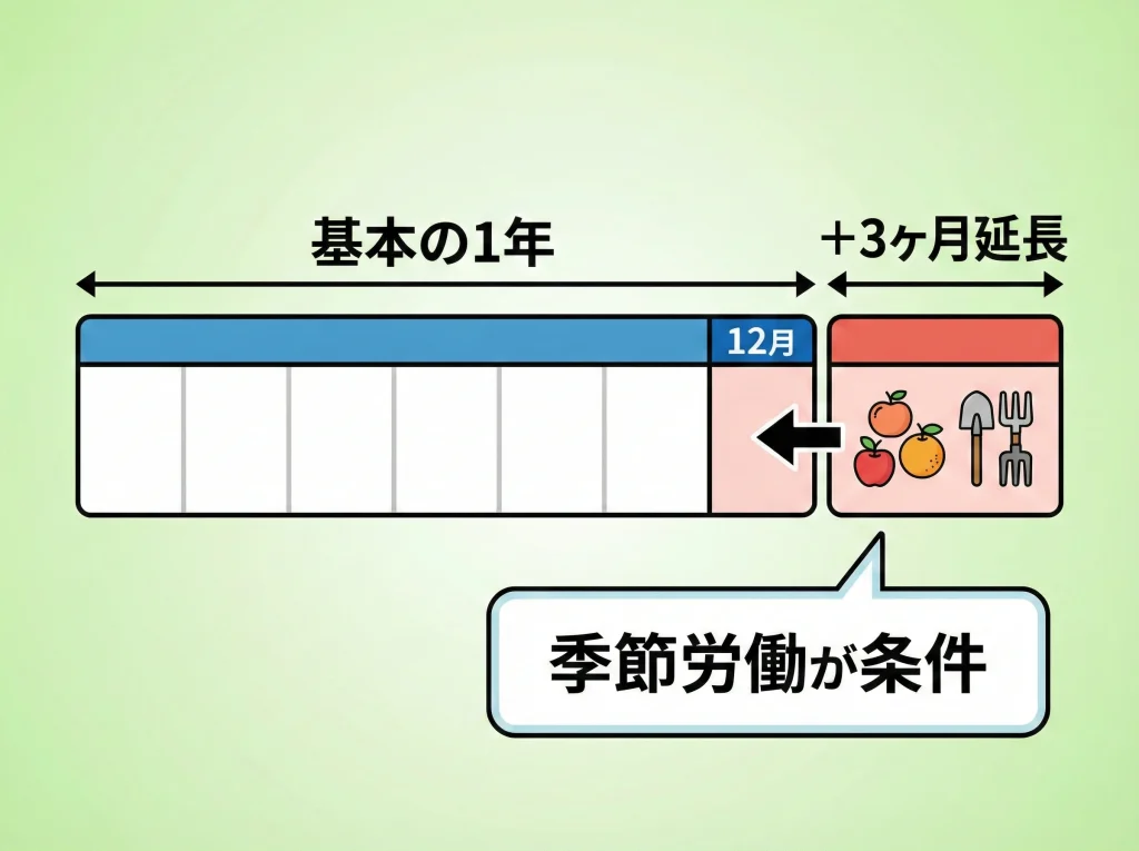 ニュージーランド3ヶ月延長