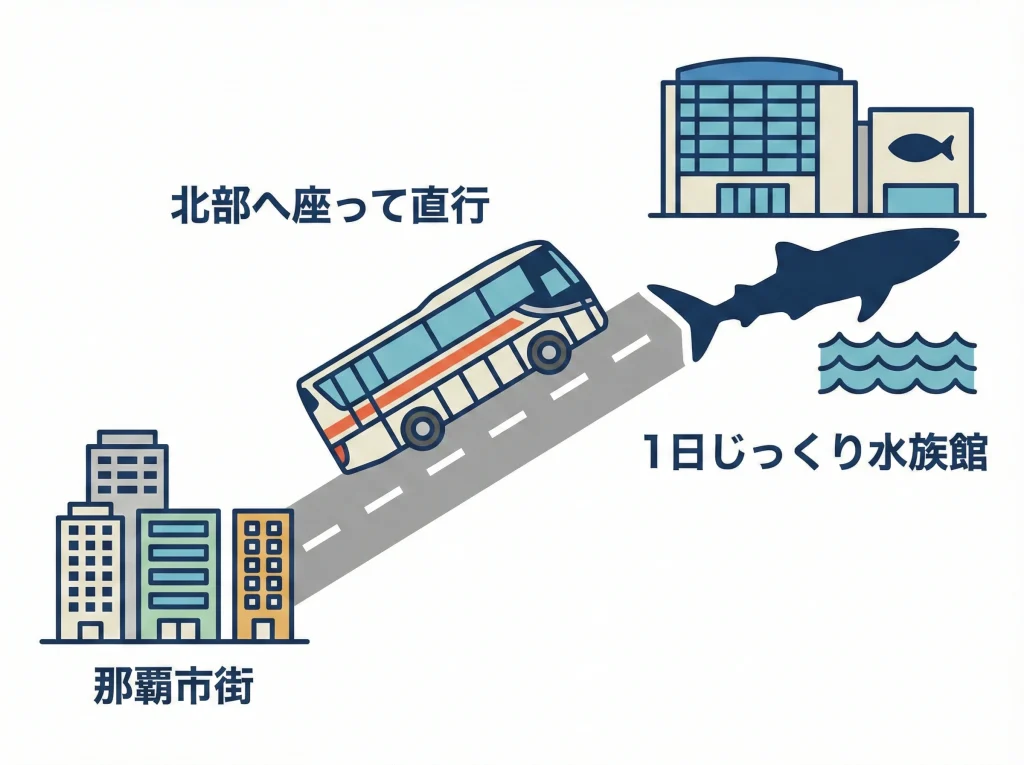 美ら海水族館はやんばる急行