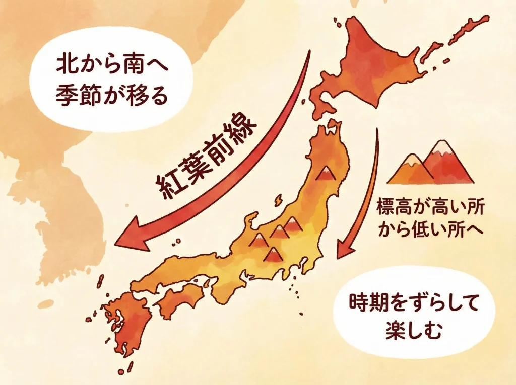 紅葉の見頃と地域差