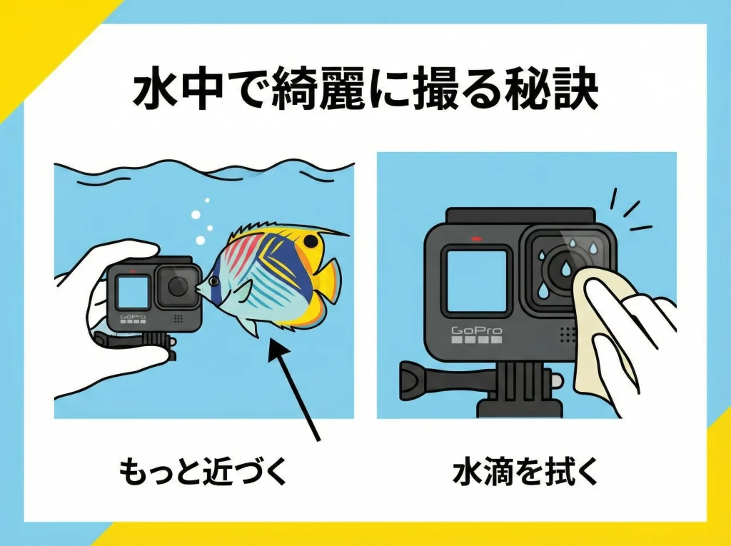 水中撮影とダイブハウジング