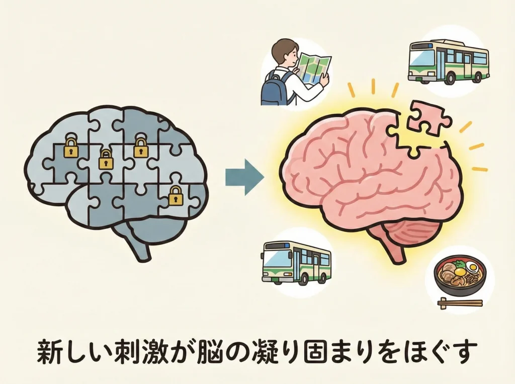 BDNFと脳の可塑性アップ