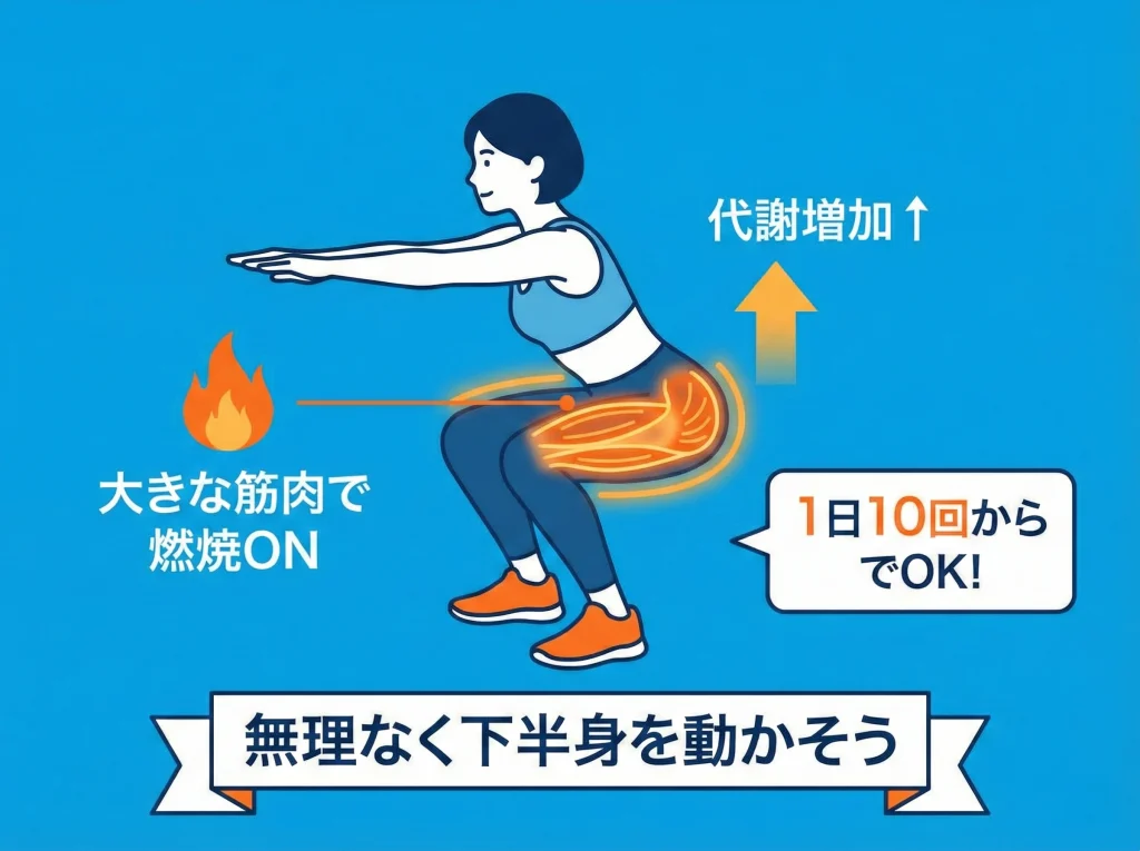 スクワットで下半身を動かす
