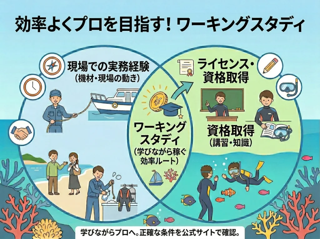 ワーキングスタディとは